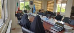 برگزاری هشتاد و هشتمین جلسه شورای پذیرش مرکز رشد دانشگاه بین‌المللی امام خمینی (ره)